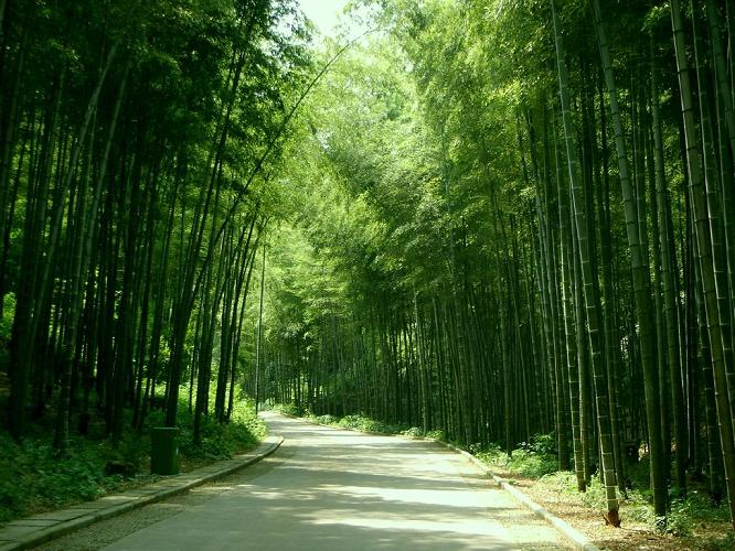 5 - 副本 (1)